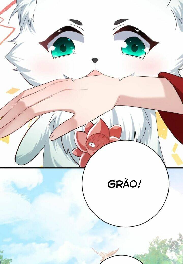 Chuyển Sinh: Thần Y Quận Chúa Khuynh Thiên Hạ Chapter 19 - Trang 2