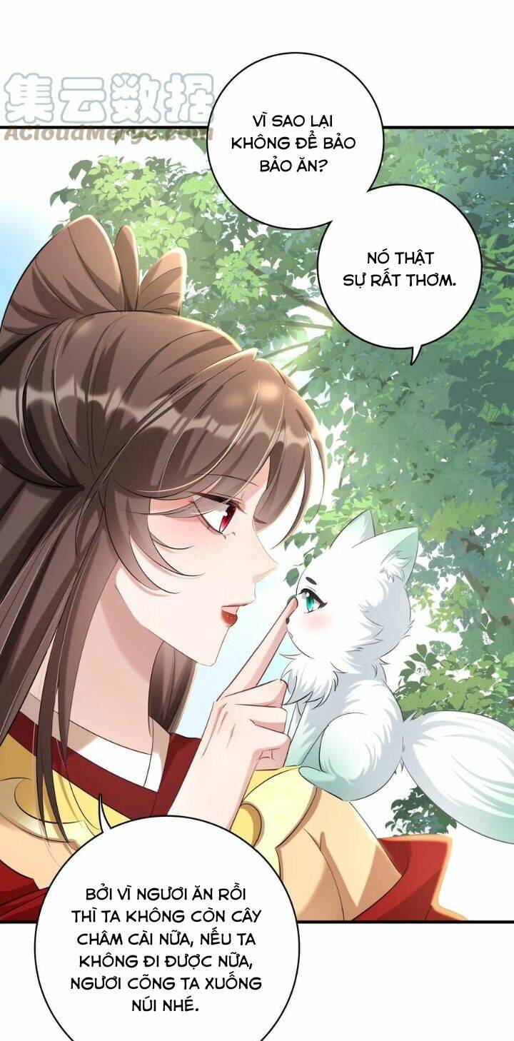 Chuyển Sinh: Thần Y Quận Chúa Khuynh Thiên Hạ Chapter 19 - Trang 2