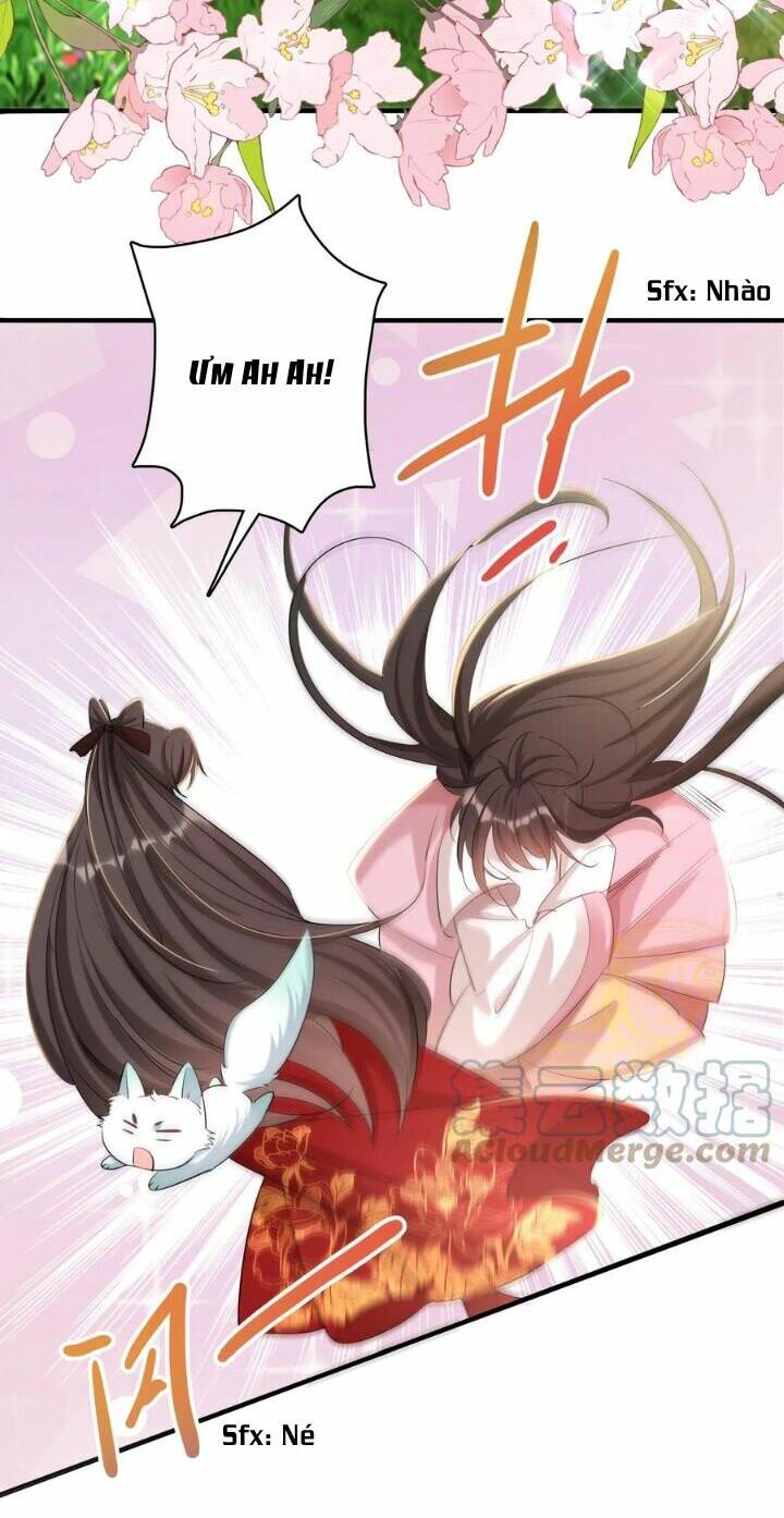 Chuyển Sinh: Thần Y Quận Chúa Khuynh Thiên Hạ Chapter 19 - Trang 2