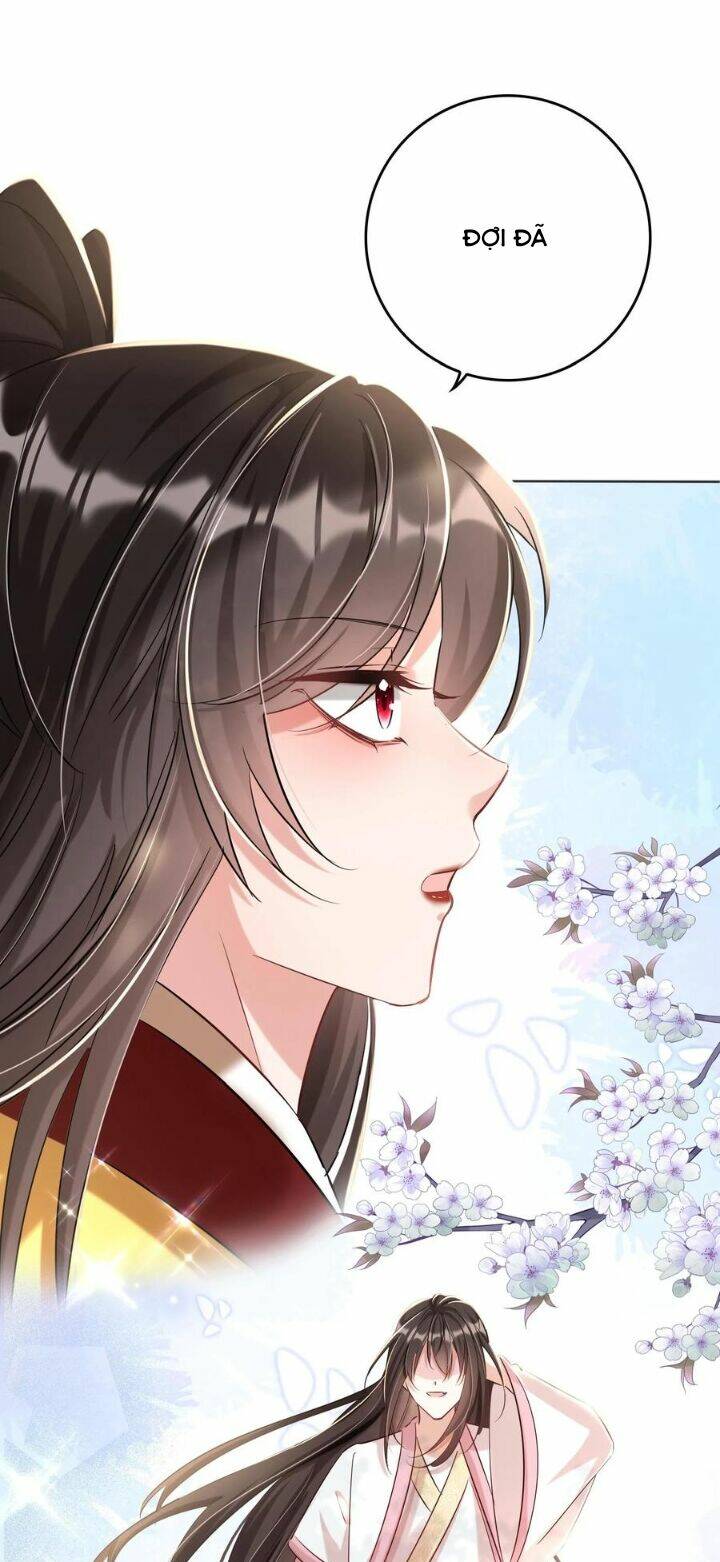 Chuyển Sinh: Thần Y Quận Chúa Khuynh Thiên Hạ Chapter 19 - Trang 2