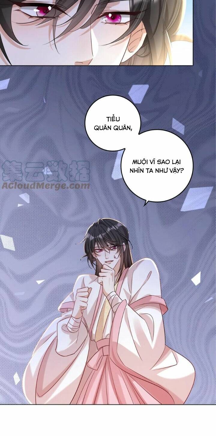 Chuyển Sinh: Thần Y Quận Chúa Khuynh Thiên Hạ Chapter 19 - Trang 2