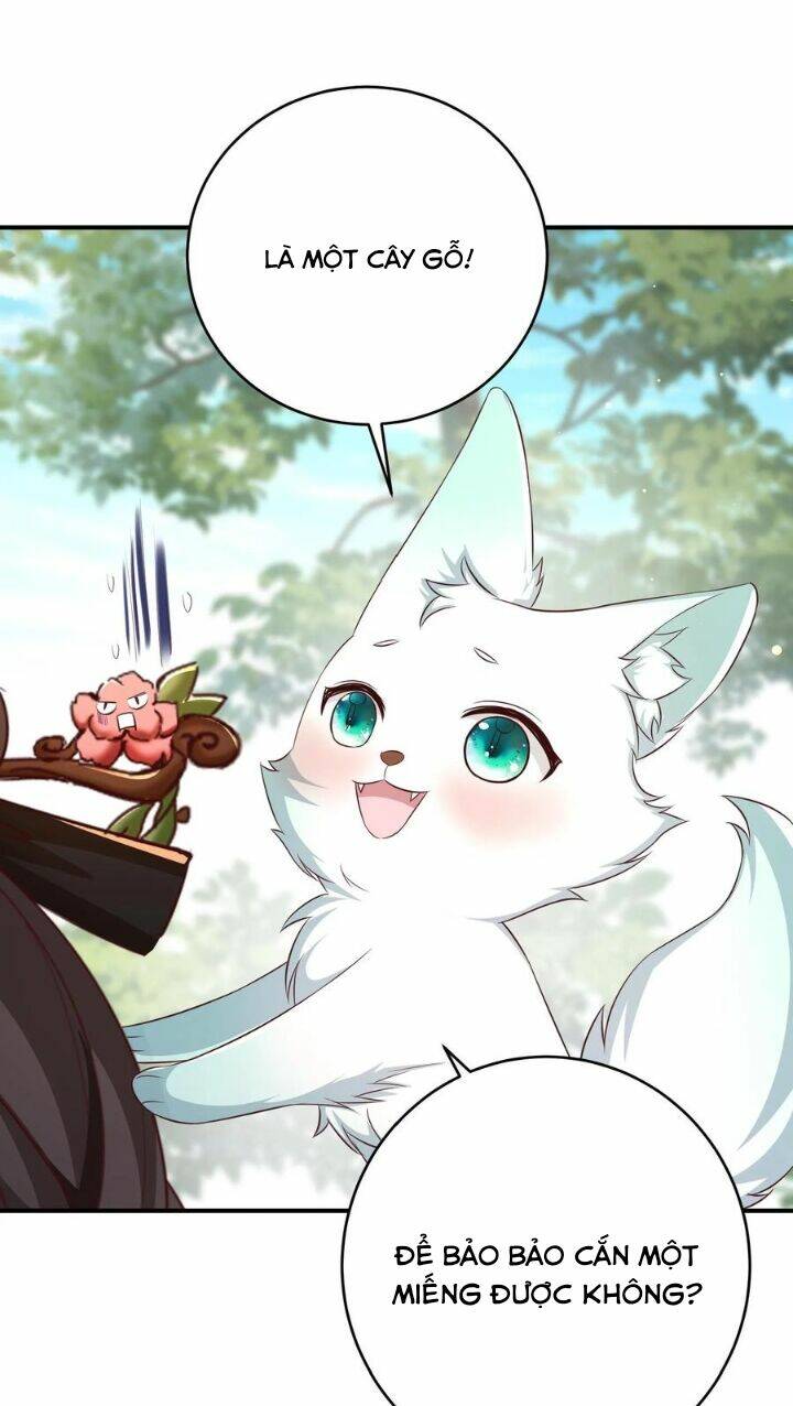 Chuyển Sinh: Thần Y Quận Chúa Khuynh Thiên Hạ Chapter 19 - Trang 2