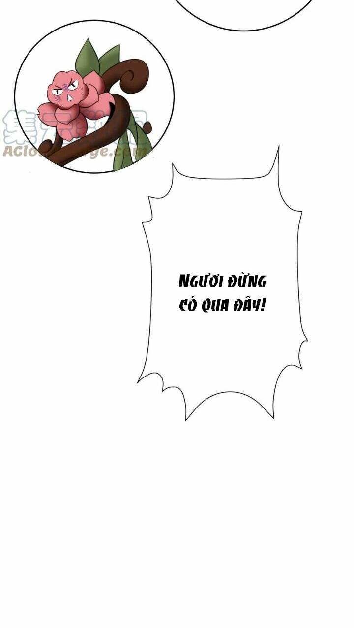 Chuyển Sinh: Thần Y Quận Chúa Khuynh Thiên Hạ Chapter 19 - Trang 2