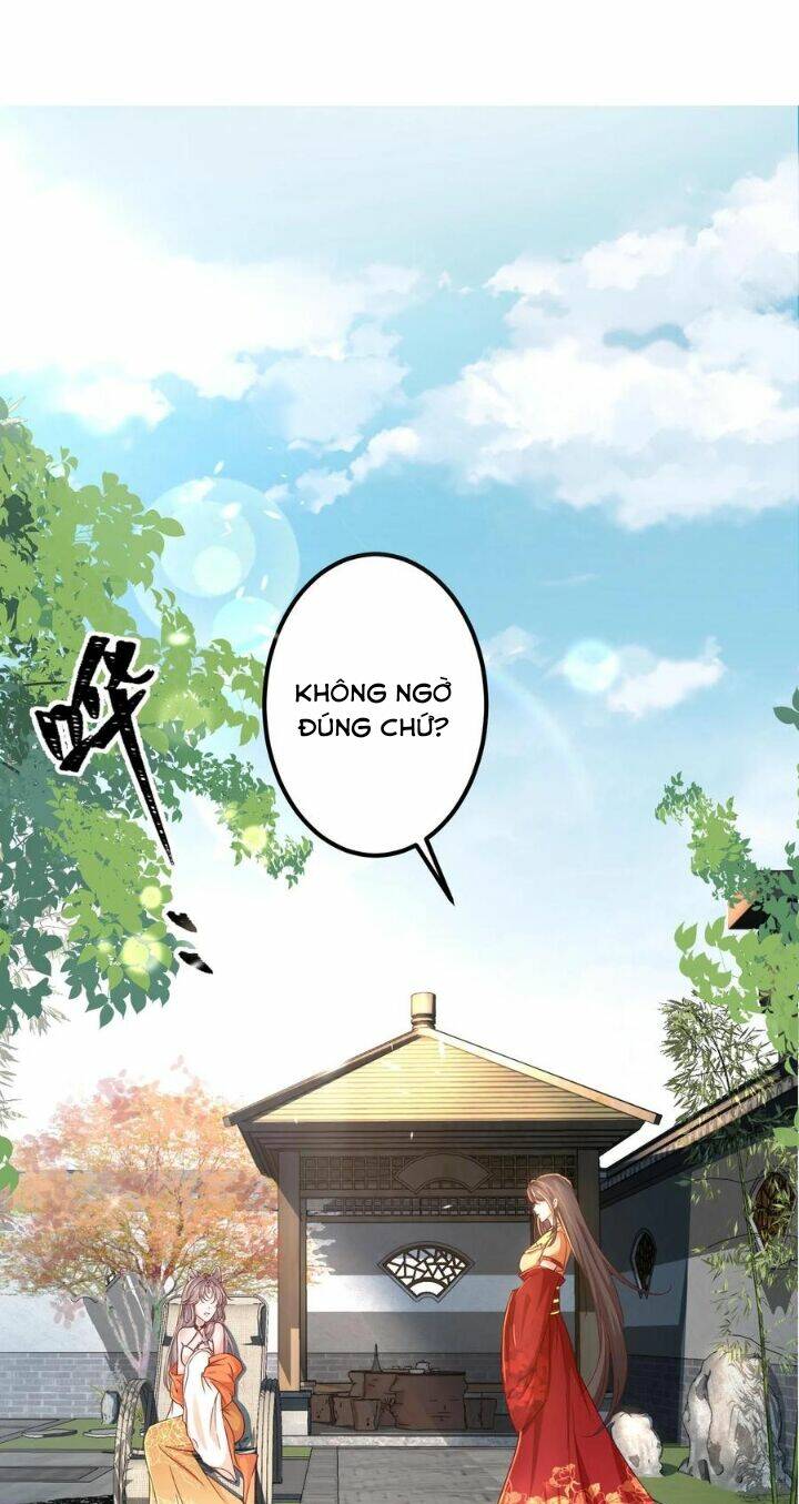 Chuyển Sinh: Thần Y Quận Chúa Khuynh Thiên Hạ Chapter 2 - Trang 2