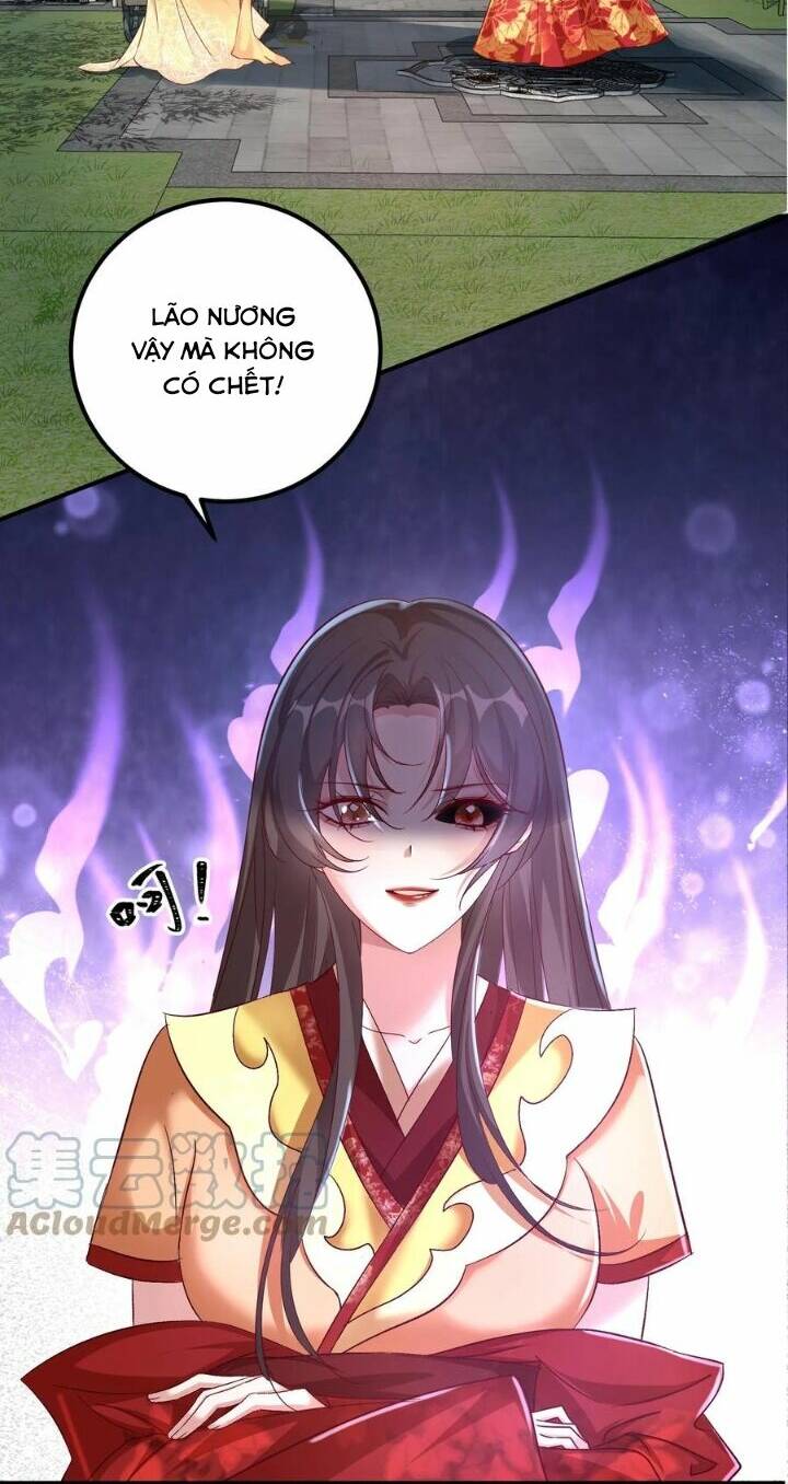 Chuyển Sinh: Thần Y Quận Chúa Khuynh Thiên Hạ Chapter 2 - Trang 2