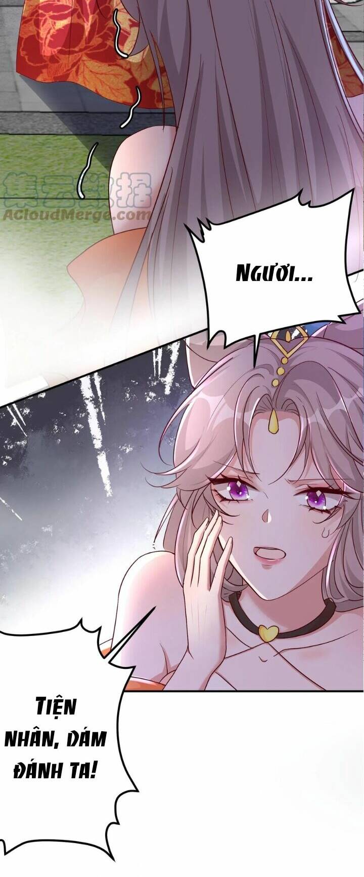 Chuyển Sinh: Thần Y Quận Chúa Khuynh Thiên Hạ Chapter 2 - Trang 2