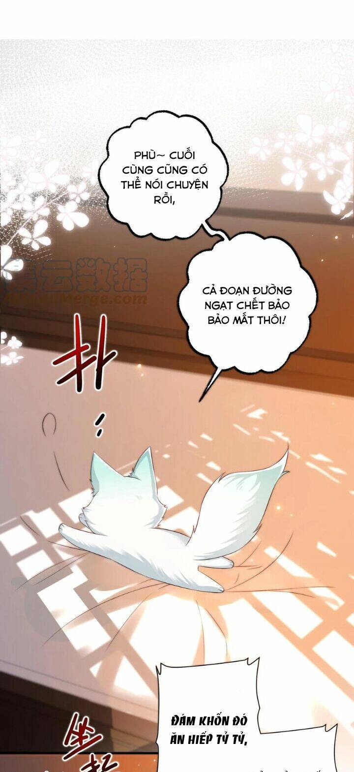 Chuyển Sinh: Thần Y Quận Chúa Khuynh Thiên Hạ Chapter 22 - Trang 2