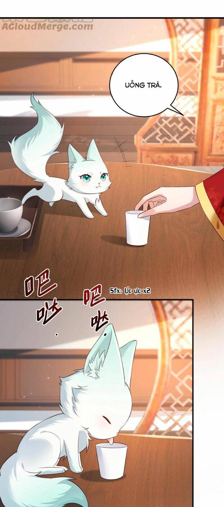 Chuyển Sinh: Thần Y Quận Chúa Khuynh Thiên Hạ Chapter 22 - Trang 2