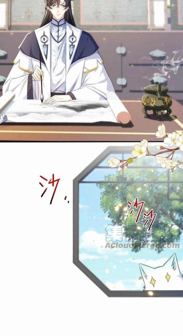 Chuyển Sinh: Thần Y Quận Chúa Khuynh Thiên Hạ Chapter 23 - Trang 2