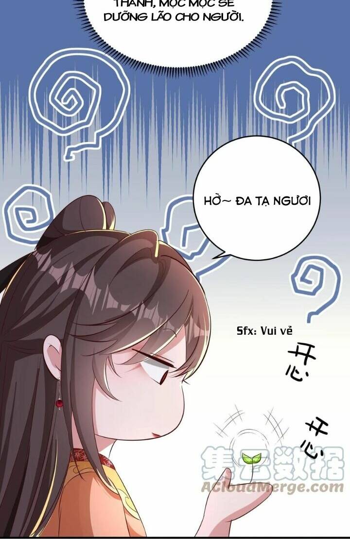 Chuyển Sinh: Thần Y Quận Chúa Khuynh Thiên Hạ Chapter 25 - Trang 2