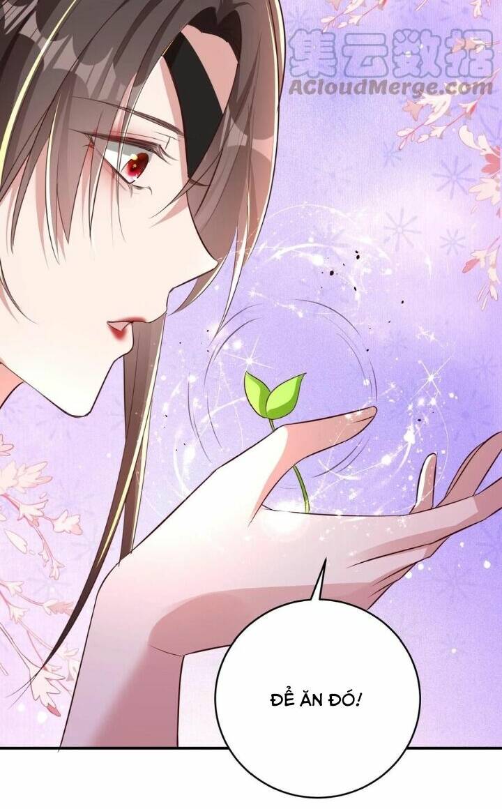 Chuyển Sinh: Thần Y Quận Chúa Khuynh Thiên Hạ Chapter 25 - Trang 2