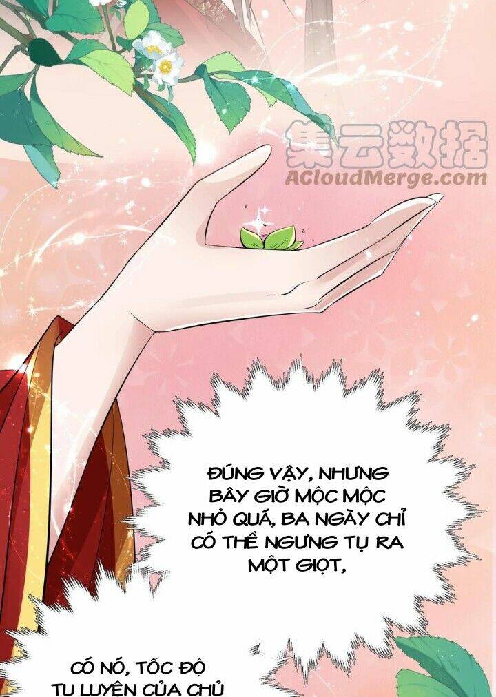 Chuyển Sinh: Thần Y Quận Chúa Khuynh Thiên Hạ Chapter 26 - Trang 2