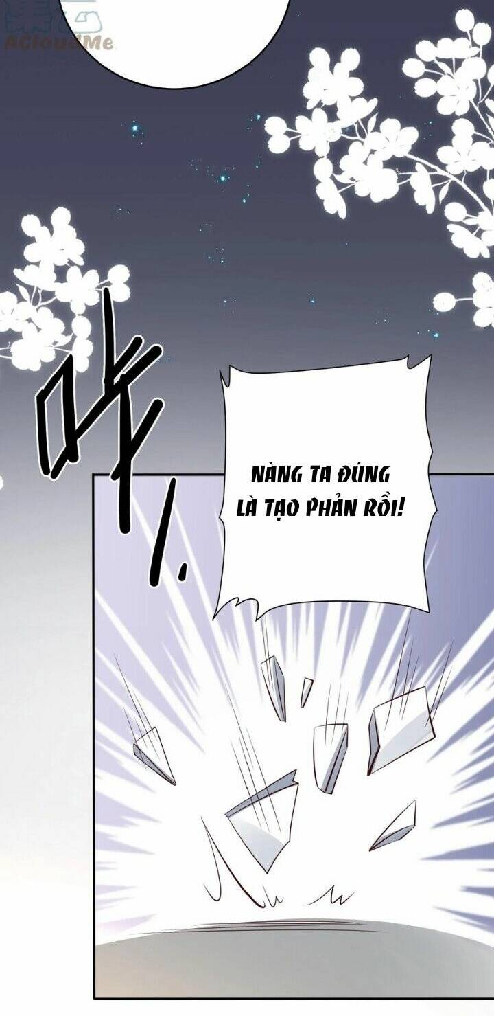 Chuyển Sinh: Thần Y Quận Chúa Khuynh Thiên Hạ Chapter 27 - Trang 2