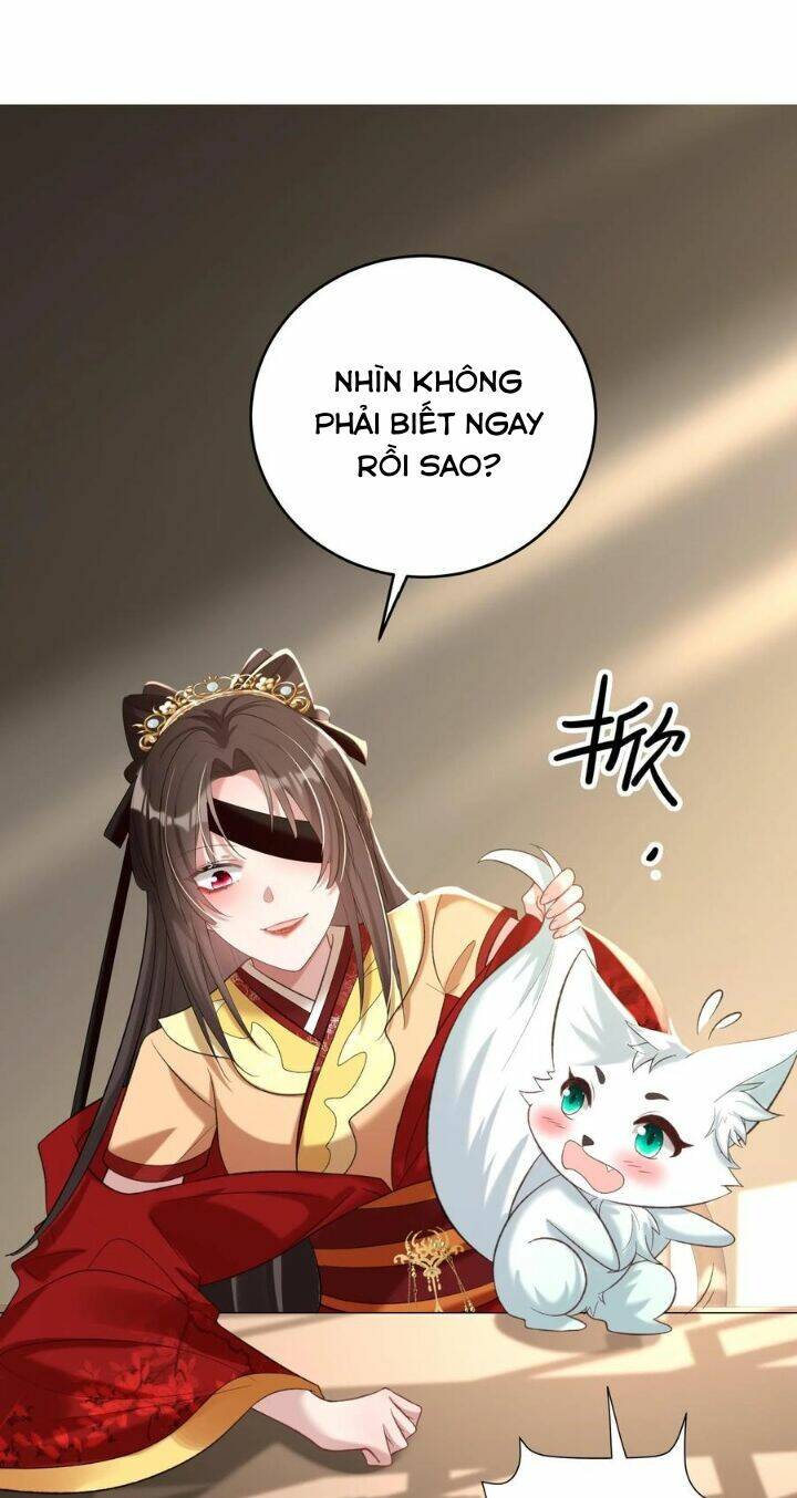 Chuyển Sinh: Thần Y Quận Chúa Khuynh Thiên Hạ Chapter 28 - Trang 2