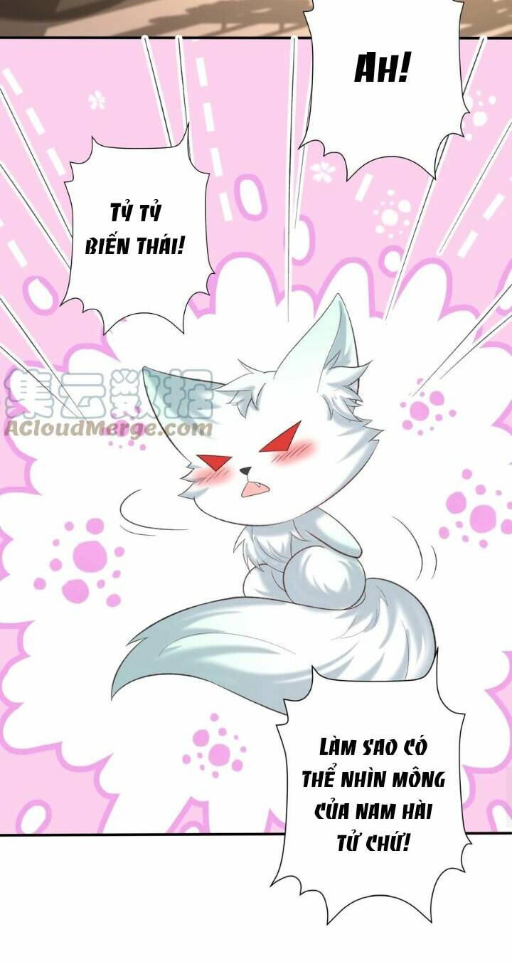 Chuyển Sinh: Thần Y Quận Chúa Khuynh Thiên Hạ Chapter 28 - Trang 2