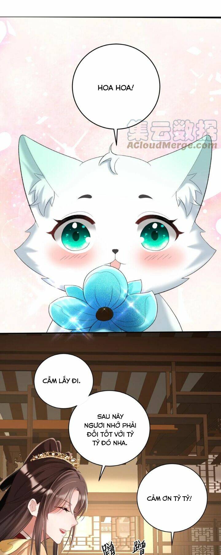 Chuyển Sinh: Thần Y Quận Chúa Khuynh Thiên Hạ Chapter 29 - Trang 2