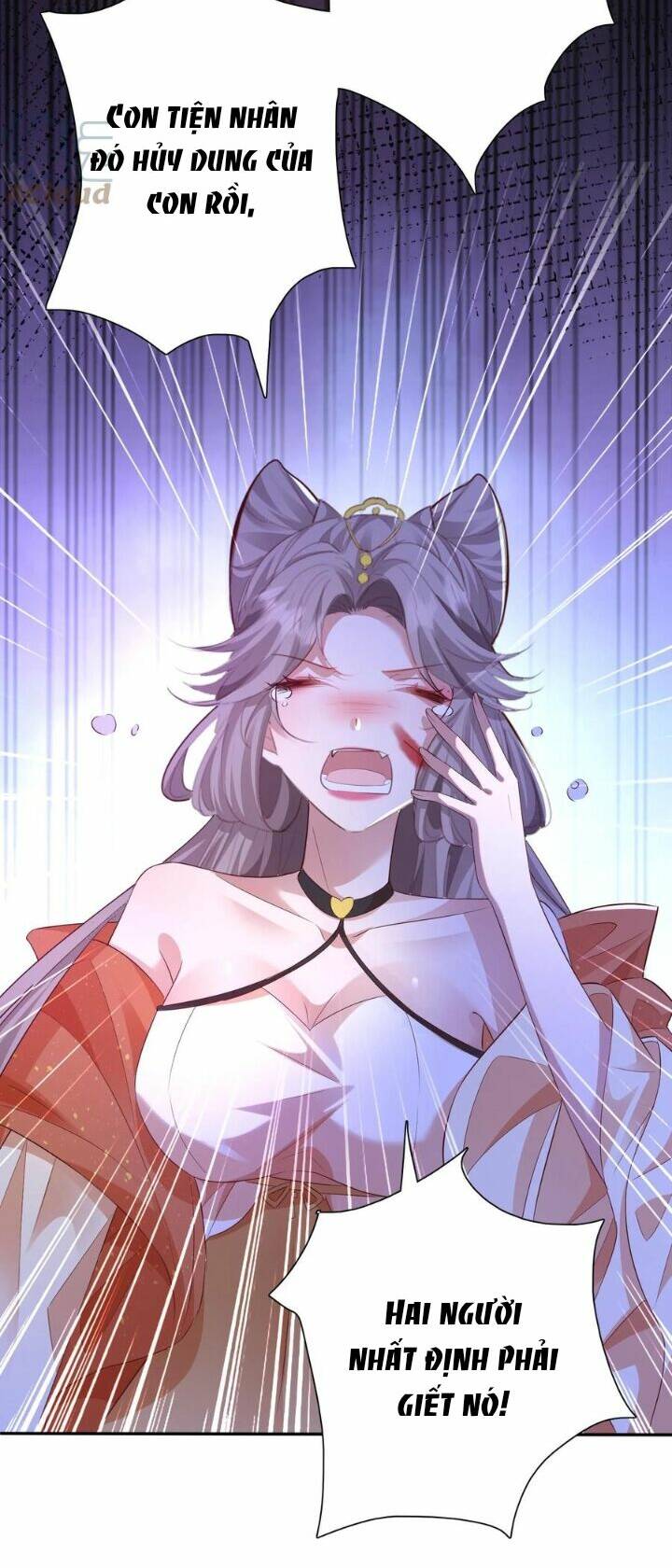 Chuyển Sinh: Thần Y Quận Chúa Khuynh Thiên Hạ Chapter 3 - Trang 2