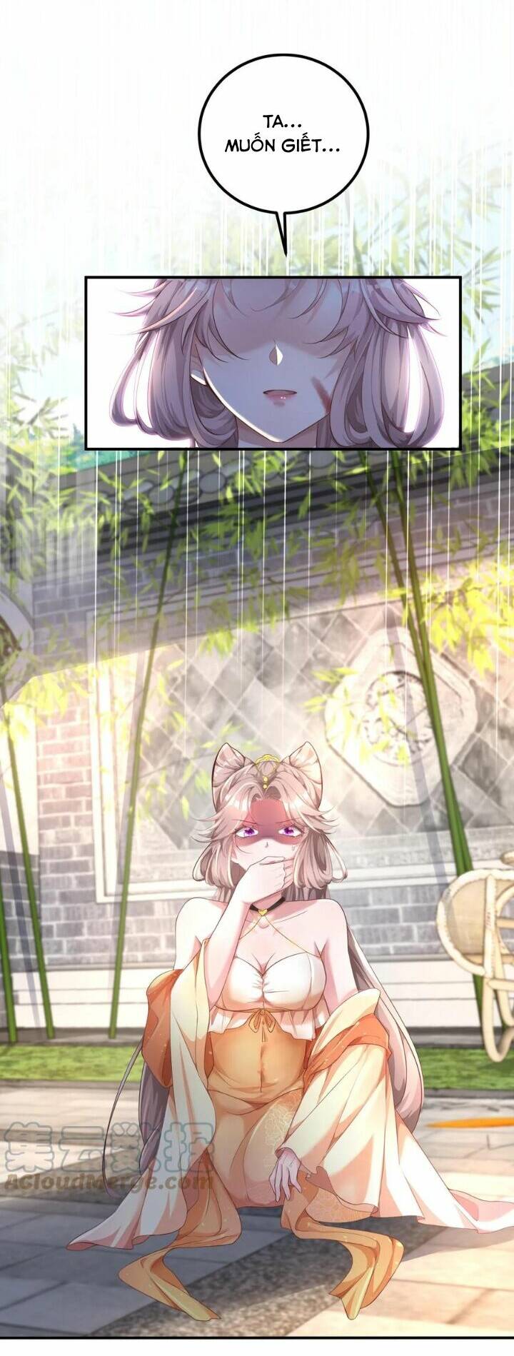 Chuyển Sinh: Thần Y Quận Chúa Khuynh Thiên Hạ Chapter 3 - Trang 2