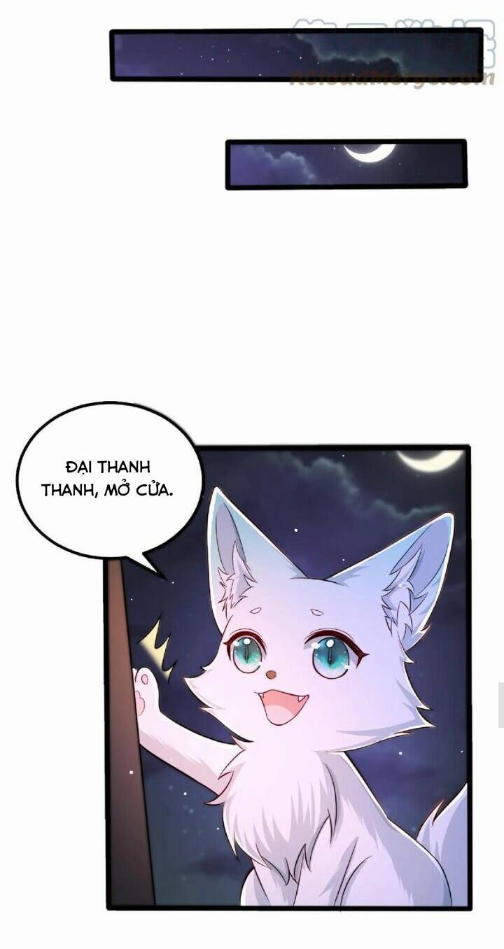 Chuyển Sinh: Thần Y Quận Chúa Khuynh Thiên Hạ Chapter 30 - Trang 2