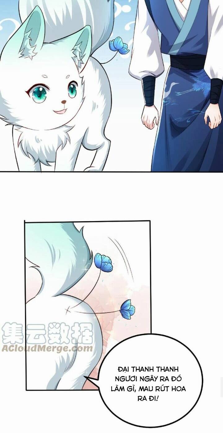 Chuyển Sinh: Thần Y Quận Chúa Khuynh Thiên Hạ Chapter 30 - Trang 2