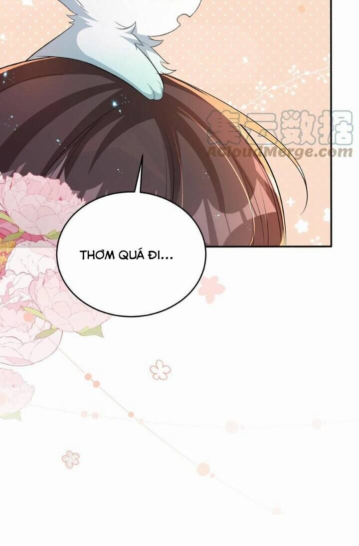 Chuyển Sinh: Thần Y Quận Chúa Khuynh Thiên Hạ Chapter 33 - Trang 2