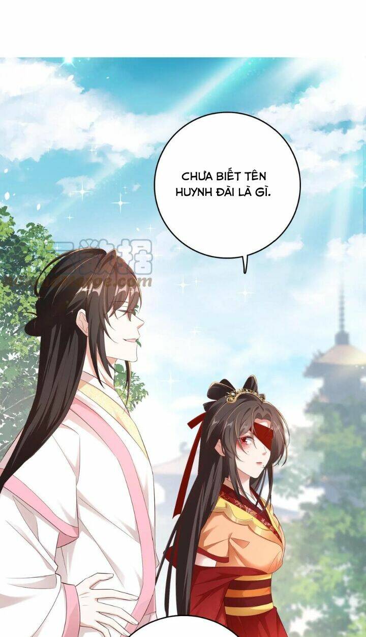 Chuyển Sinh: Thần Y Quận Chúa Khuynh Thiên Hạ Chapter 4 - Trang 2