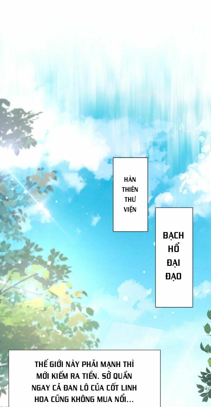 Chuyển Sinh: Thần Y Quận Chúa Khuynh Thiên Hạ Chapter 4 - Trang 2