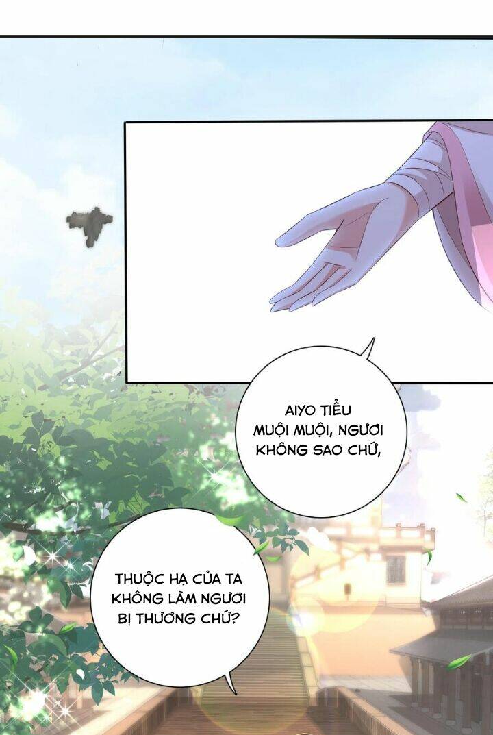 Chuyển Sinh: Thần Y Quận Chúa Khuynh Thiên Hạ Chapter 4 - Trang 2