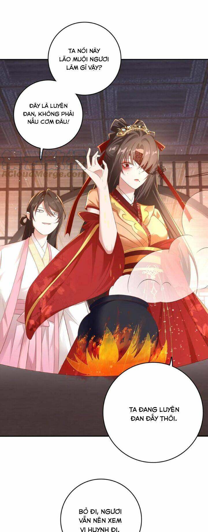 Chuyển Sinh: Thần Y Quận Chúa Khuynh Thiên Hạ Chapter 5 - Trang 2