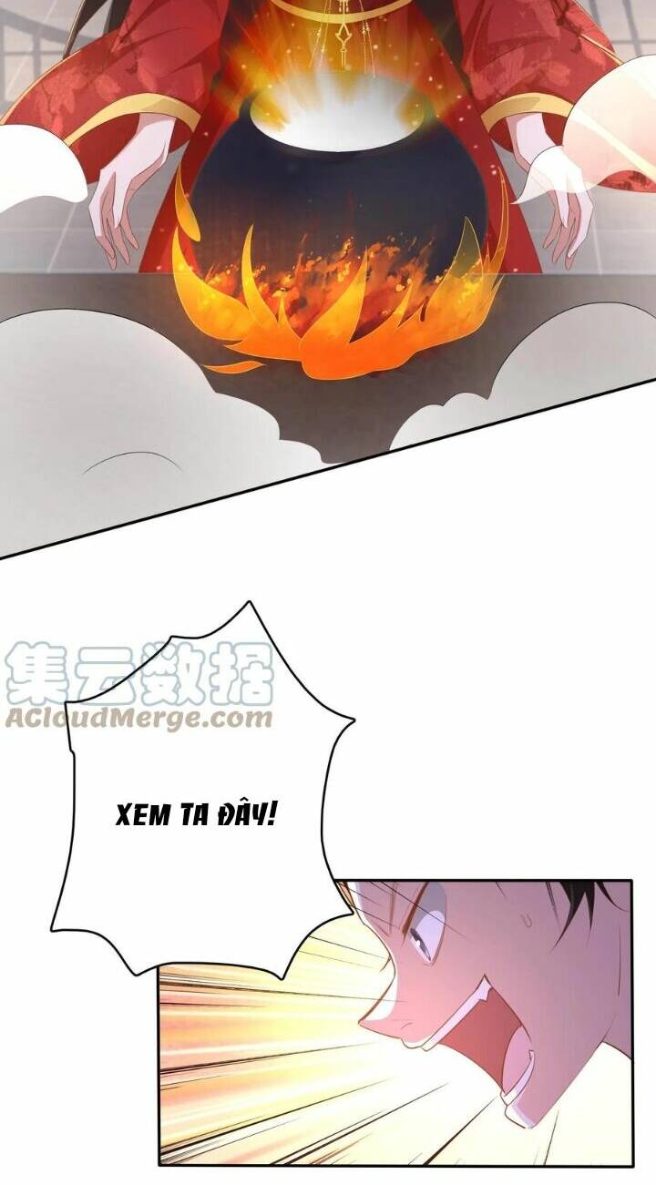 Chuyển Sinh: Thần Y Quận Chúa Khuynh Thiên Hạ Chapter 5 - Trang 2