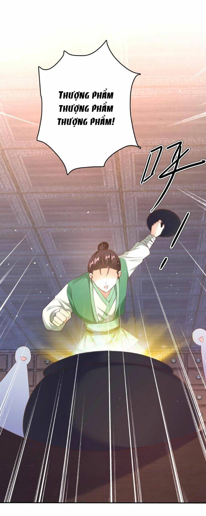 Chuyển Sinh: Thần Y Quận Chúa Khuynh Thiên Hạ Chapter 5 - Trang 2