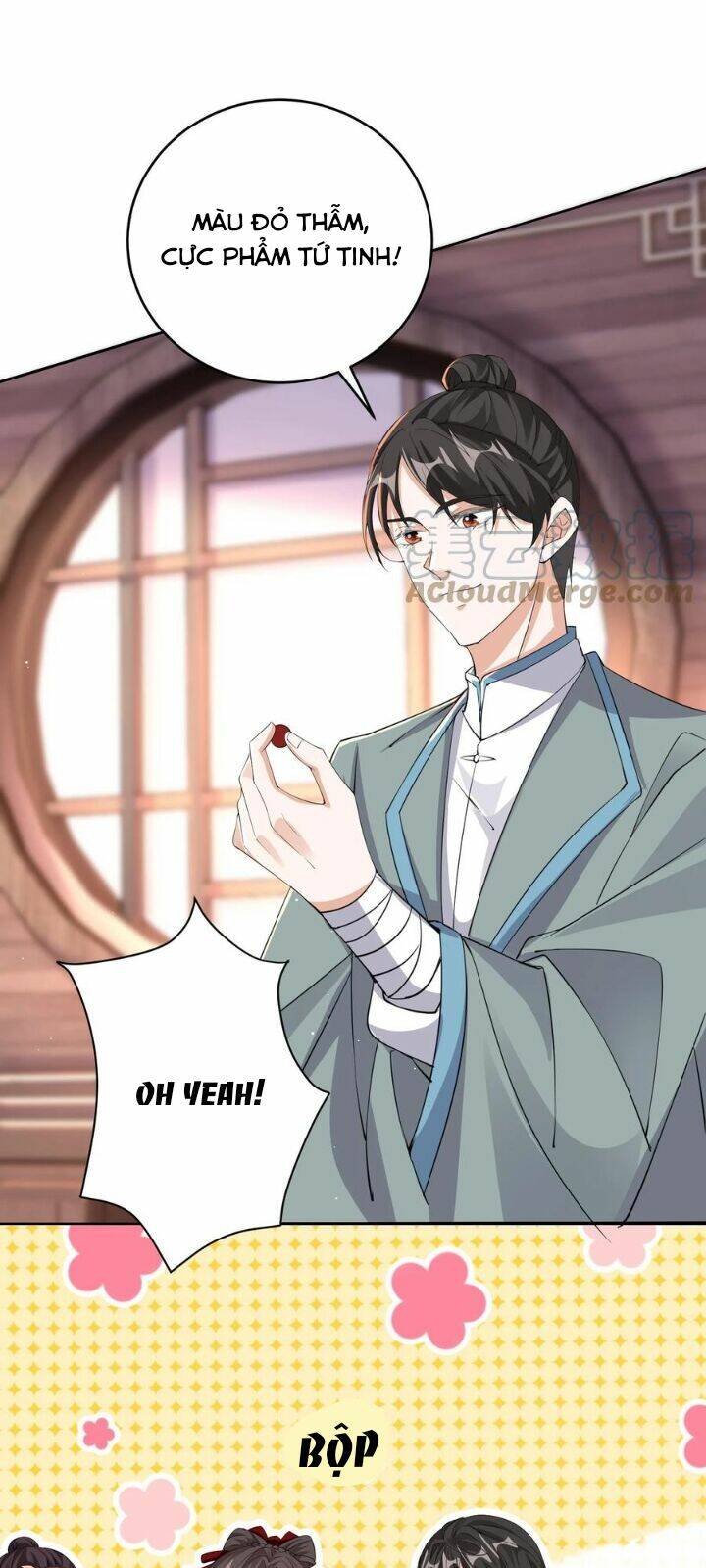 Chuyển Sinh: Thần Y Quận Chúa Khuynh Thiên Hạ Chapter 6 - Trang 2