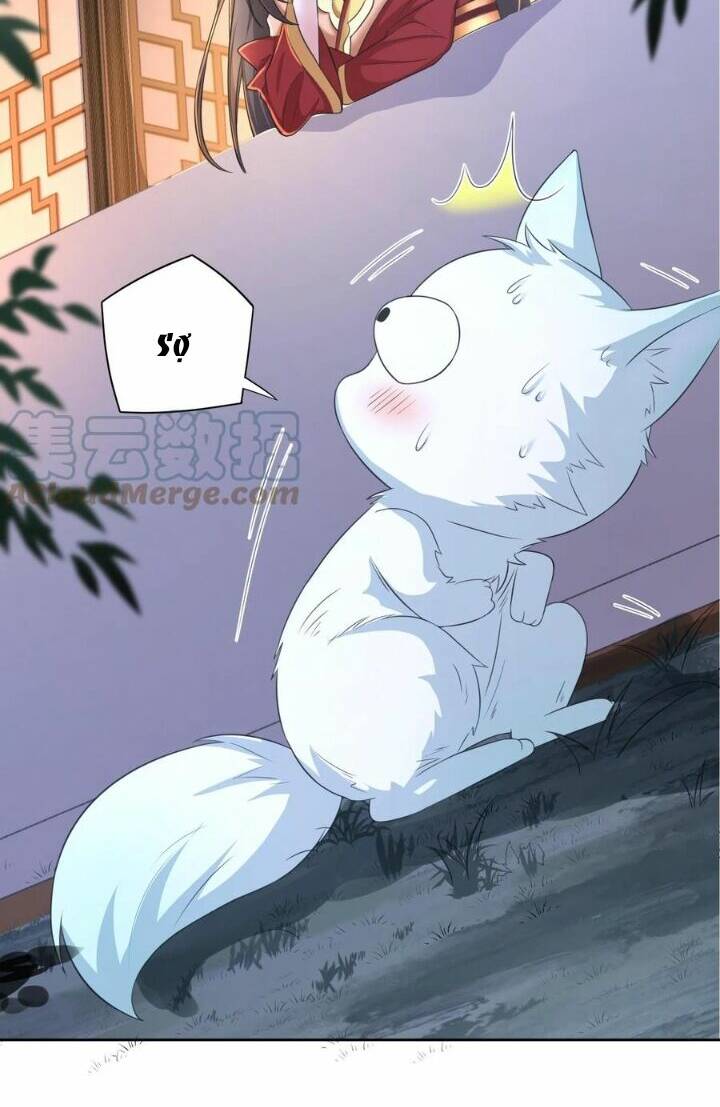 Chuyển Sinh: Thần Y Quận Chúa Khuynh Thiên Hạ Chapter 6 - Trang 2