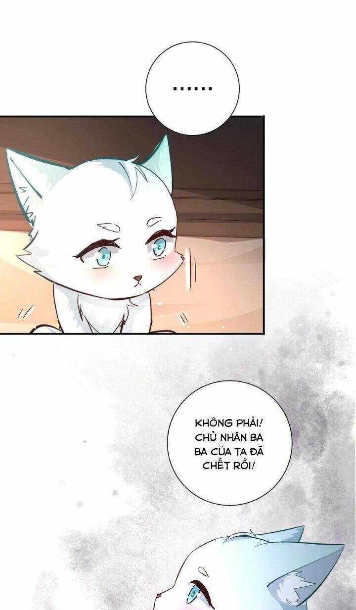 Chuyển Sinh: Thần Y Quận Chúa Khuynh Thiên Hạ Chapter 7 - Trang 2