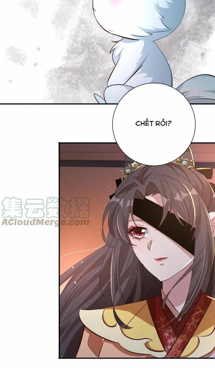 Chuyển Sinh: Thần Y Quận Chúa Khuynh Thiên Hạ Chapter 7 - Trang 2