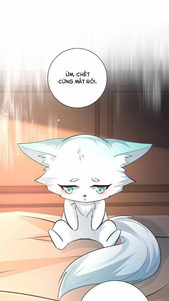 Chuyển Sinh: Thần Y Quận Chúa Khuynh Thiên Hạ Chapter 7 - Trang 2