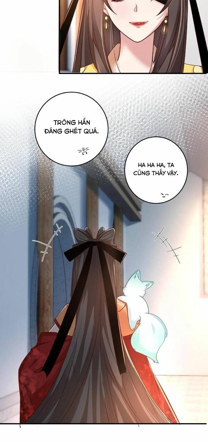 Chuyển Sinh: Thần Y Quận Chúa Khuynh Thiên Hạ Chapter 7 - Trang 2