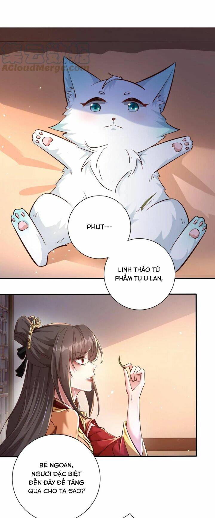 Chuyển Sinh: Thần Y Quận Chúa Khuynh Thiên Hạ Chapter 7 - Trang 2