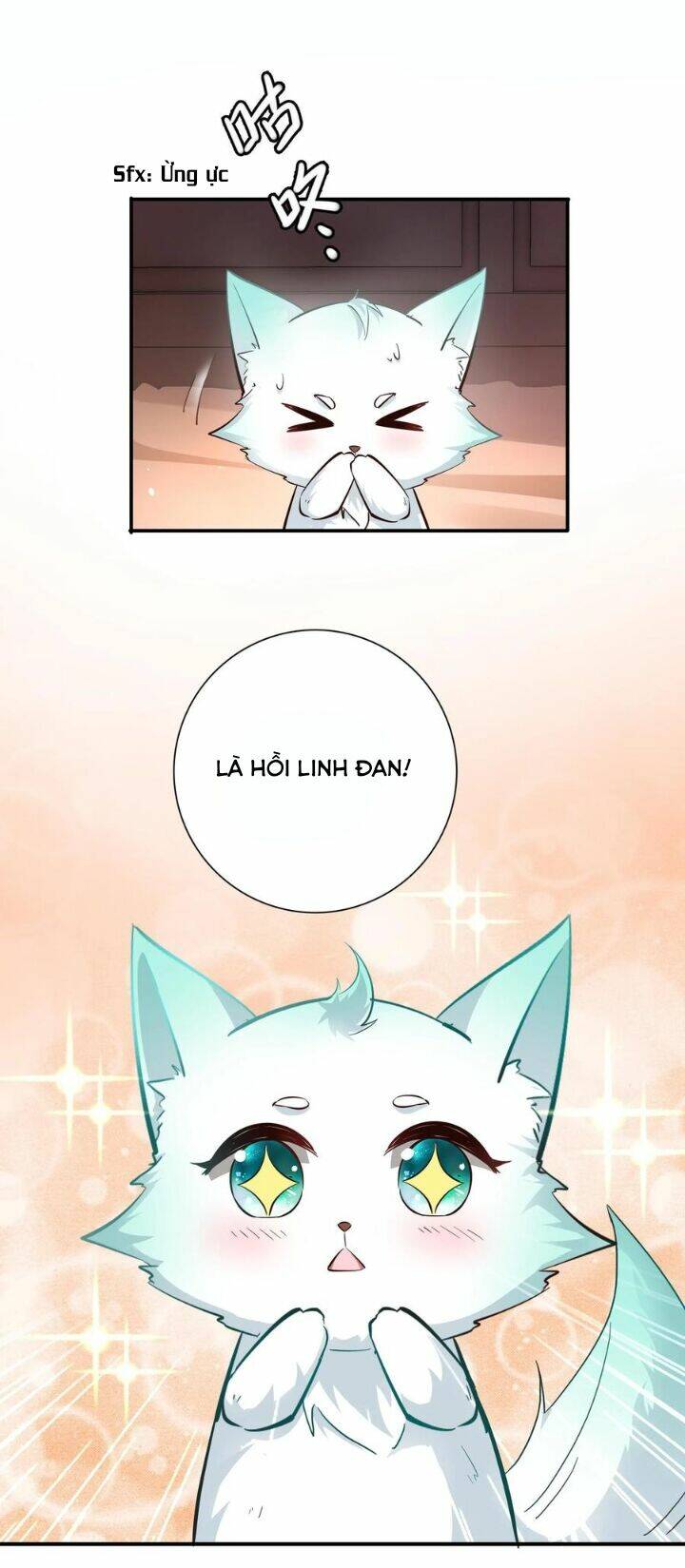 Chuyển Sinh: Thần Y Quận Chúa Khuynh Thiên Hạ Chapter 7 - Trang 2