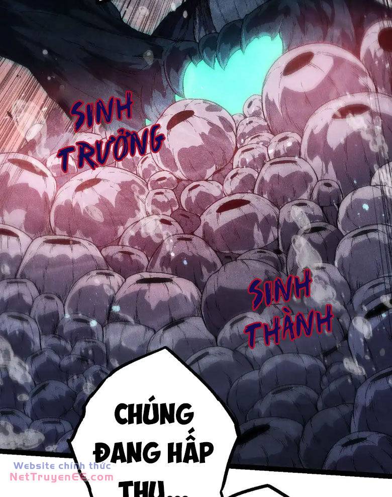 Chuyển Sinh Thành Liễu Đột Biến Chapter 197 - Trang 2