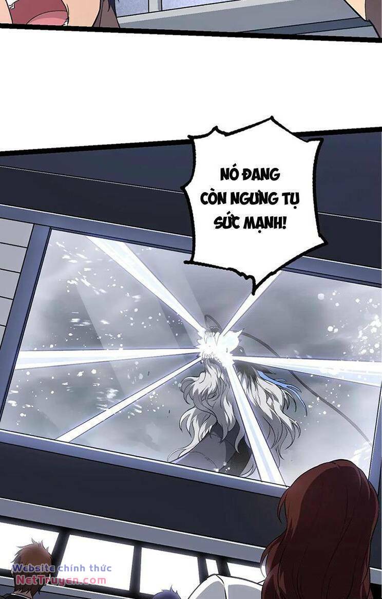 Chuyển Sinh Thành Liễu Đột Biến Chapter 201 - Trang 2