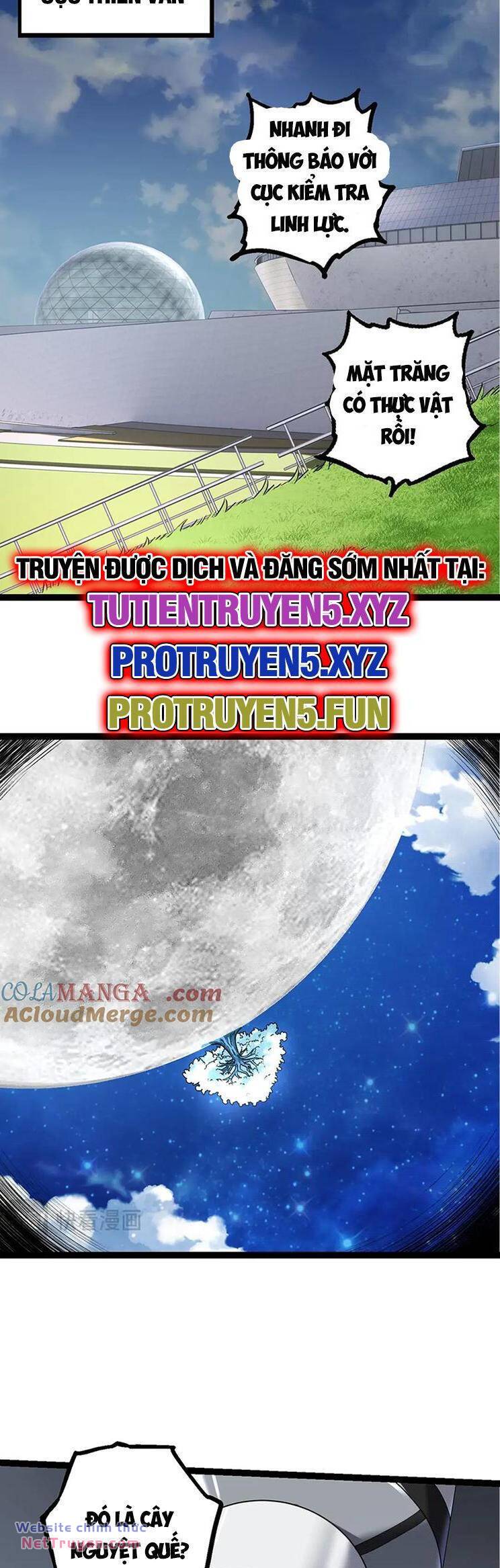Chuyển Sinh Thành Liễu Đột Biến Chapter 203 - Trang 2