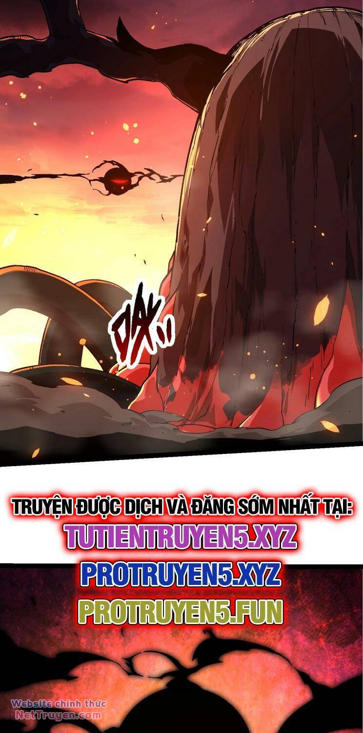 Chuyển Sinh Thành Liễu Đột Biến Chapter 206 - Trang 2