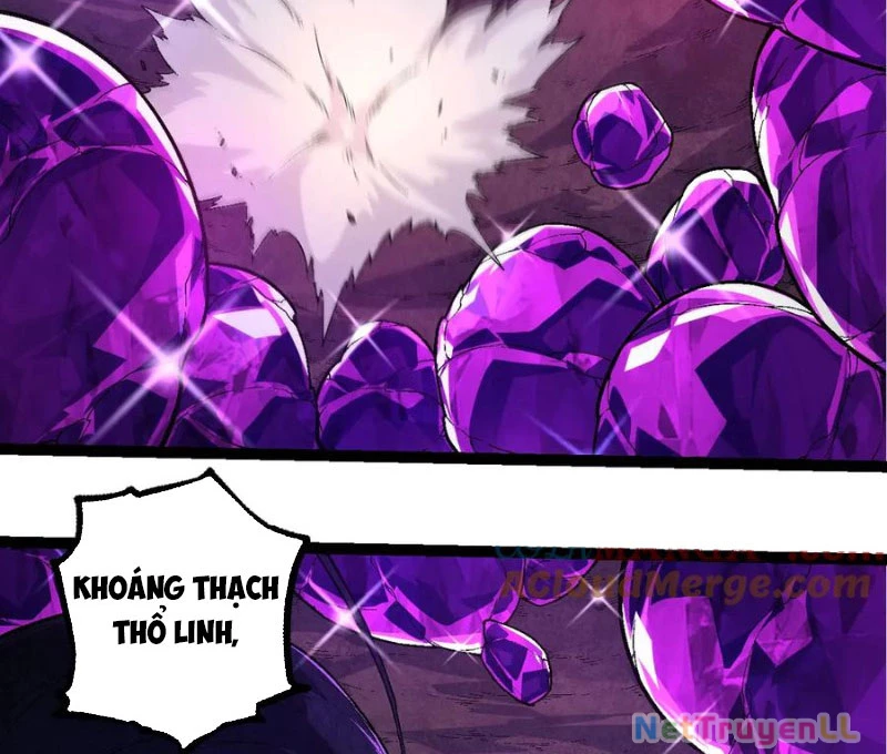 Chuyển Sinh Thành Liễu Đột Biến Chapter 246 - Trang 2