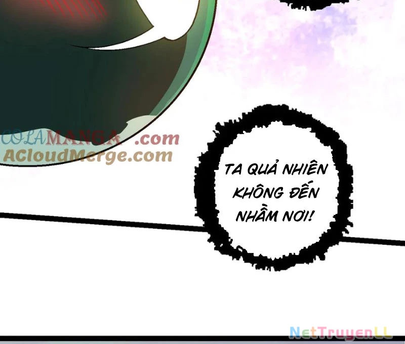 Chuyển Sinh Thành Liễu Đột Biến Chapter 246 - Trang 2