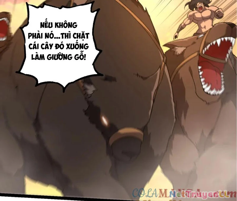 Chuyển Sinh Thành Liễu Đột Biến Chapter 246 - Trang 2