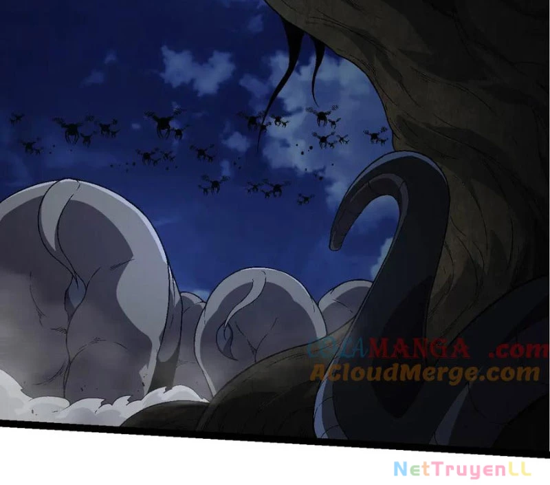 Chuyển Sinh Thành Liễu Đột Biến Chapter 246 - Trang 2