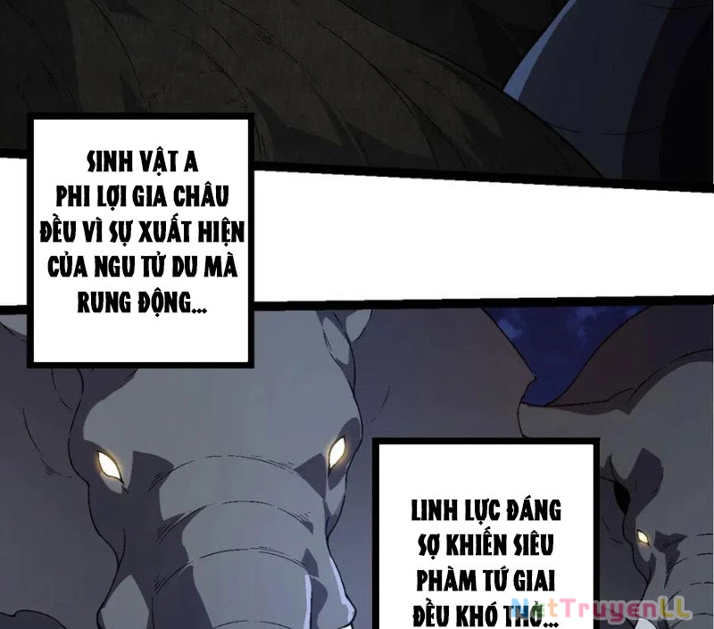 Chuyển Sinh Thành Liễu Đột Biến Chapter 246 - Trang 2