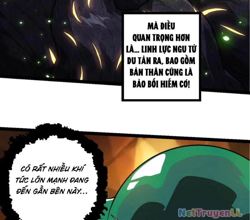 Chuyển Sinh Thành Liễu Đột Biến Chapter 246 - Trang 2