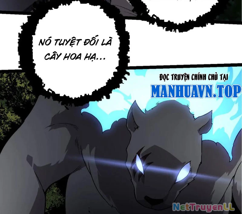 Chuyển Sinh Thành Liễu Đột Biến Chapter 246 - Trang 2